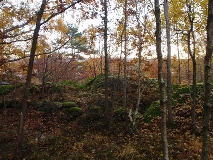 erforderlig grundläggningsnivå. Vid grunda jorddjup rekommenderas det att schakt utförs till berg.