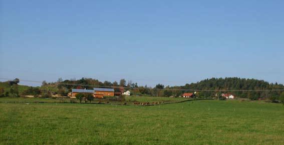 I västra delen av området går kraftledningen. I området finns en gammal svingård som idag inte används för djurhållning.