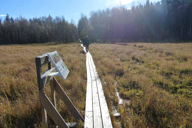 I samband med beslutet om detaljplan inför etableringen av serverhallar i närheten av Gammelstadsviken skrevs en överenskommelse mellan Luleå kommun, Länsstyrelsen i Norrbotten, Luleå