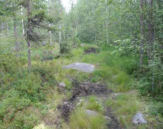 Åtgärder 2014 Entréplatser Beläggningen på infartsvägen från Gamla Haparandavägen och parkeringsplatsen åtgärdades.