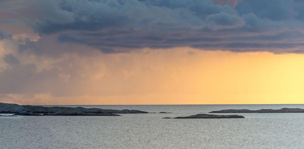 Ekonomiskt utfall 2018 I höstnumret av Pumpen skrev vi att vi hade många gästbåtar i hamnen under 2018 men var försiktiga med det ekonomiska utfallet. Nu är det klart men revision pågår.