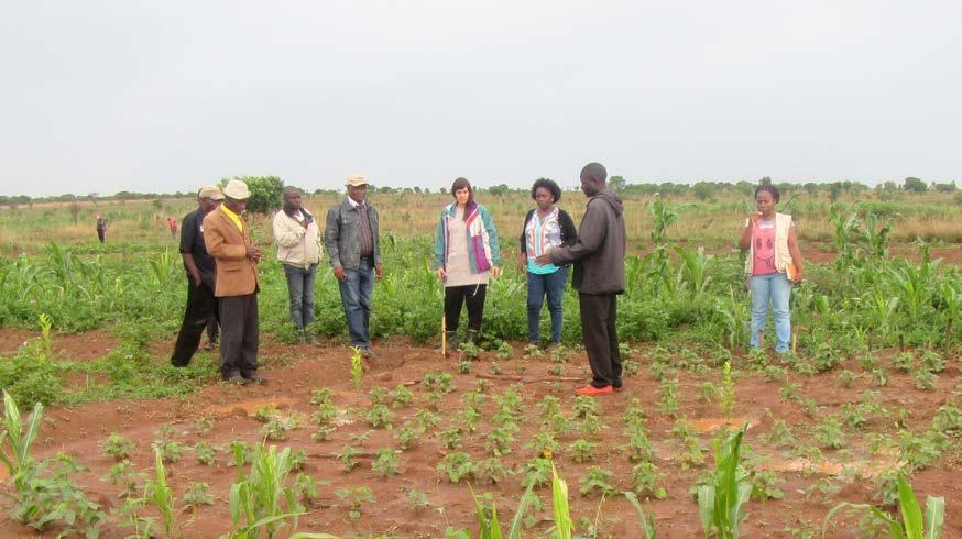 SAMARBETEN ANGOLA Angola är ett land rikt på naturresurser men med stora sociala klyftor. Landet var fram till nyligen en av världens snabbast växande ekonomier.