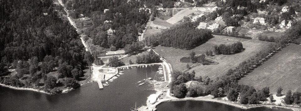 Stora Allén nyplanteras Stora Allén är Breviks äldsta allé, planterad med gråpoppel i slutet av 1800-talet. Den har en längd av ungefär 400 meter och bestod från början av ett 70-tal träd.