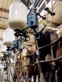 I september 2009 höll EFSA till exempel en högnivåkonferens för att presentera dess arbete och att utbyta synpunkter om riskbedömningar när det gäller genmodifierade organismer för människors och