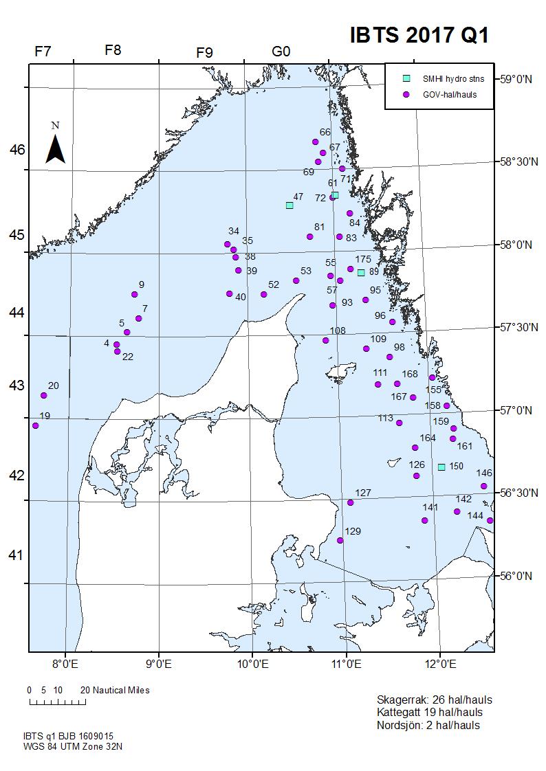 Resultat Bottentrålning med GOV-trål Under IBTS kvartal 1 2017 genomfördes totalt 47 giltiga tråldrag med GOV-trål i hela området; 2 i Nordsjön, 26