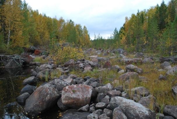 Många åtgärder inom dessa vatten går att utföra utan att påverka kraftproduktionen men i vissa fall behövs vatten, t ex när det gäller ökade minimivattenföringar i torrfåror och faunapassager vilket