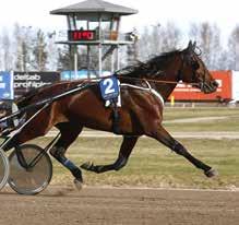 Magnus Jakobsson hade anmält Gene Kelly Am till Hästägarecupen som avgjordes på Rättvikstravet under torsdagen och det var ett lopp med försök och final.