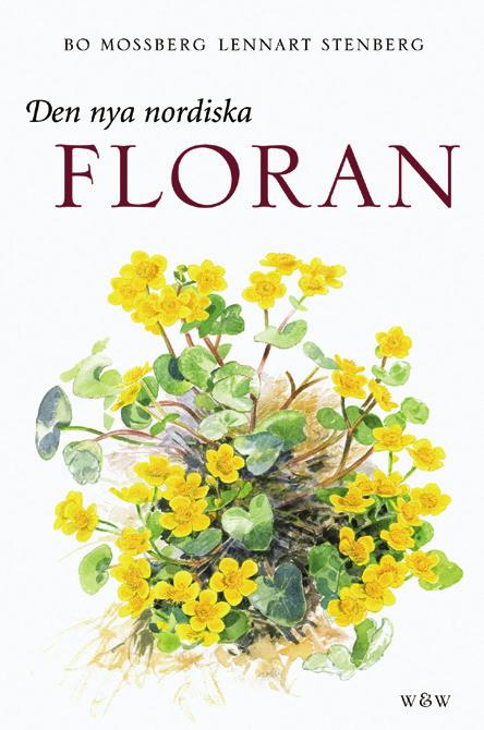 BOTANISK LITTERATUR Botaniska strövtåg Mats Rydén är säkert välbekant för många läsare efter sin uppskattade serie om växternas namn som han skrev för SBT för ett par tre år sedan.