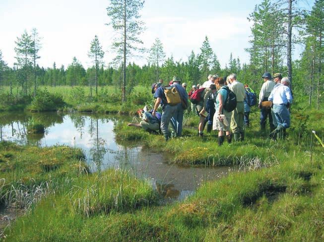 På den vackra Armasjärvimyren stod blåsäv Schoenoplectus tabernaemontani och norskstarr Carex mackenziei i kanten på några av gölarna.