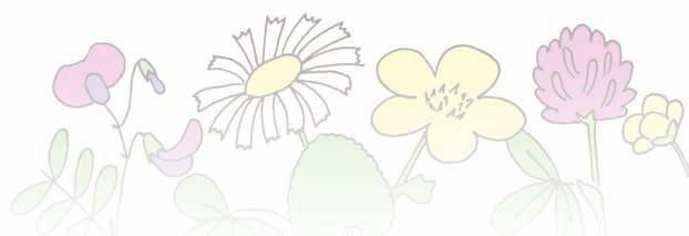 FÖRENINGSNYTT FÖRENINGSNYTT FÖRENINGSNYTT FÖRENINGSNYTT De Vilda Blommornas Dag i Norden har kommit för att stanna För andra gången ordnades den 15 juni i år De Vilda Blommornas Dag i Sverige.
