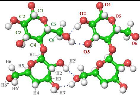 Abundance (arbitary units) plastics and cellulose was caused by the reaction between radicals from plastics and water [75].