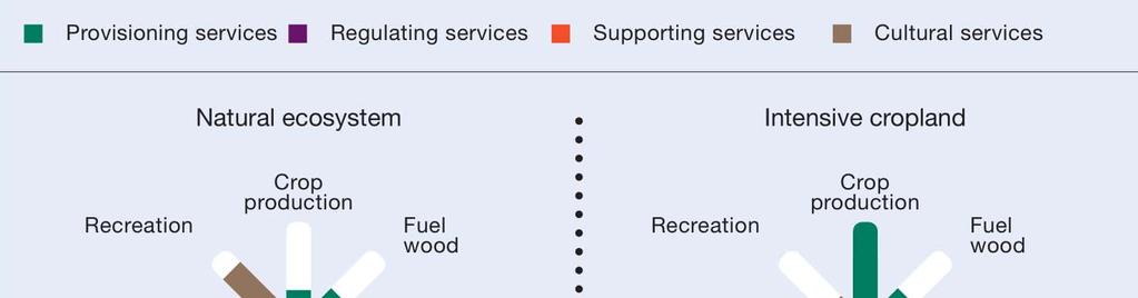 Ekosystemtjänster Ska vi ha den vänstra