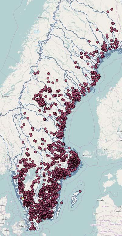 Markavvattning inte bara diken Vattenverksamhet Diken, täckdiken Markavvattning i vattendrag? Rätning av meandrande vattendrag Kulvertering av vattendrag? Omlokalisering av?