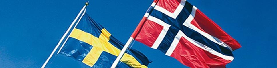 1 1. Inledning Svinesundskommittén är en ideell organisation med verksamhet som syftar till att främja det nordiska samarbetet med särskild inriktning på Sverige och Norge.