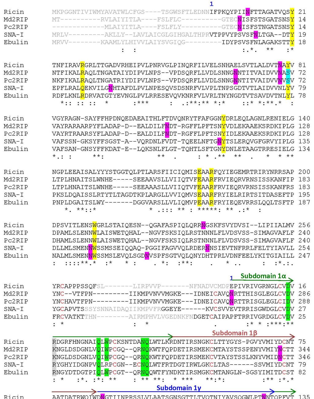 S4 of S10 Figure S3. Sequence alignment of type 2 RIPs from M. domestica (Md2RIP) and P. communis (Pc2RIP), Ricin, Ebulin and SNA-I.