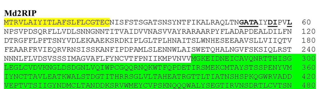 S5 of S10 Figure S4. Sequence information of RIPs from Malus domestica cv. Golden Delicious. (A) Schematic diagrams of protein domains in MdRIPs.