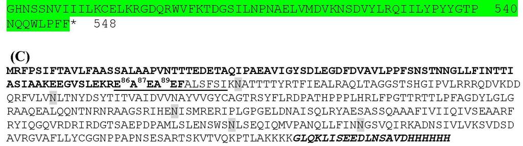 Md2RIP consists of a signal peptide (amino acids 1-22) followed by RIP domain (amino acids 23-257) and lectin domain (amino acids 258-548); (B) Predicted amino acid sequences of apple Md1RIP (GDR