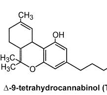 14 State of the Art Cannabinoider som läkemedel Medicinsk användning av cannabis sträcker sig långt bak i tiden.