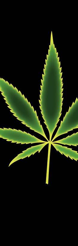 Indikationerna för användning har varierat genom årtusenden, men redan på kejsarens tid rekommenderades cannabis (eller ma) som ett remedium mot konstipation, reumatism, menstruella kramper och