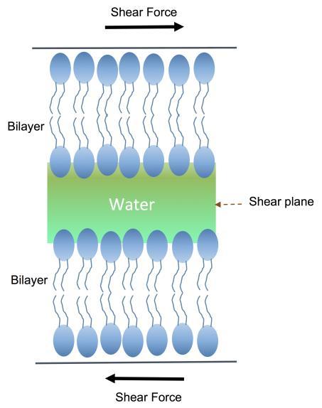 Chapter 1 additional shear plane will exist there.