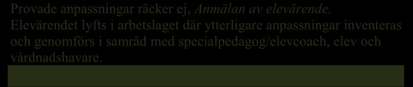 Anpassningarna dokumenteras och utvärderas i IST Anpassningarna täcker elevens behov av stöd.