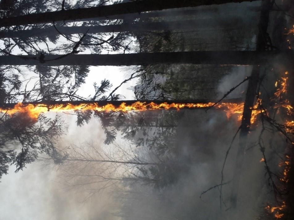 Kl 17:10 får vi en av årets första skogsbränder i Flugebyn i Karlsborg.