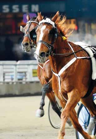 ETS FYAING ALLE OWN Ägare: Easy KB Uppsala. Uppfödare: Helle & Le Hjorth. Tränare: Tomas Malmqvist. Skötare: Sara Lussetti.
