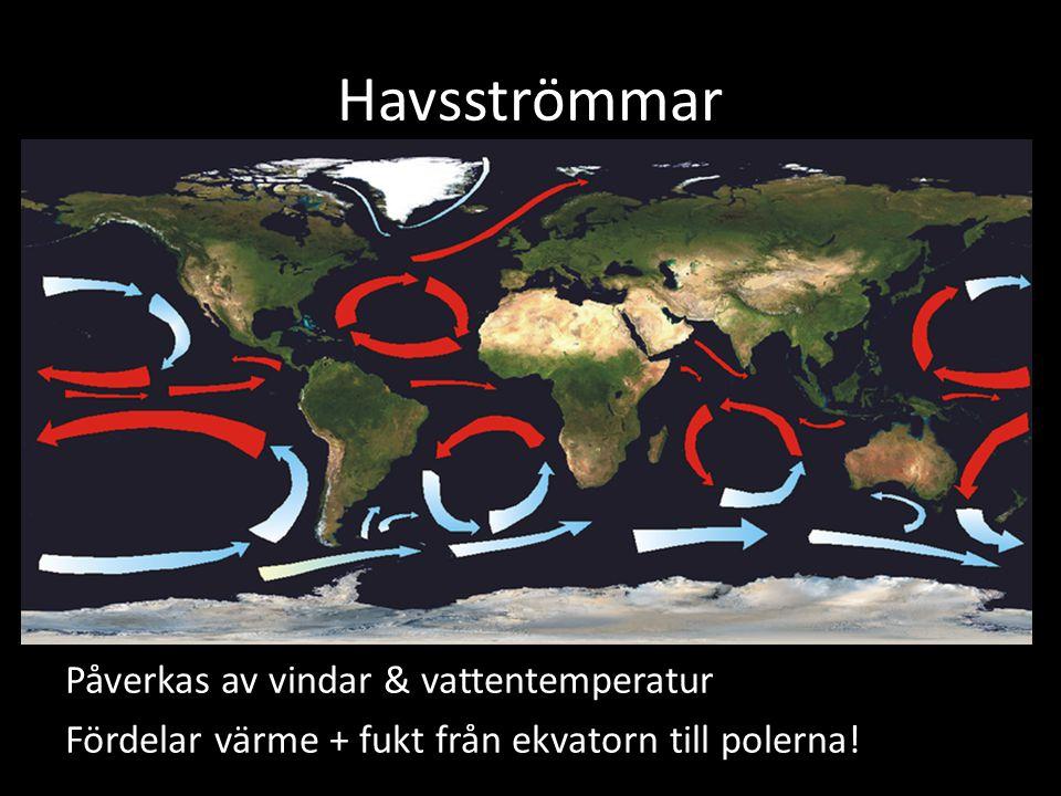 Hans Zettby 2018-12-11 sid 7 (10) Flera olika havsströmmar. Havsströmmar är som väldiga floder. På en del håll går de på djupet, på andra ställen finner vi dem i oceanernas yta.