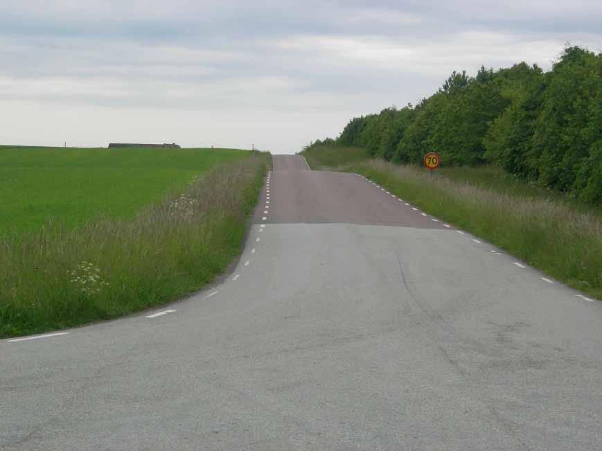 Carl-Johan Fransson, delägare i vildsvinsbutiken där kamerorna inhandlades från, in för att möjligtvis kunna detektera eventuella passerande amfibier.