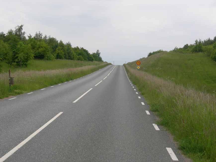Den del av Högestavägen som löper från den västra delen av barriärerna och förbi staketet från koordinater X: 6154829, Y: 1377245 till koordinater X: 6154905, Y: 1376337 undersöktes även med samma