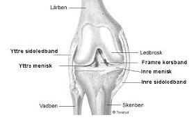 Förklaring av dina besvär Då man misstänker problem med knäets inre struktur, kan en knäartroskopi bli aktuellt.