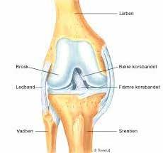 Förutom det naturliga åldrandet av bland annat brosket som täcker benytorna, kan knäskada uppkomma vid olika aktiviteter t ex fotboll och andra idrotter.