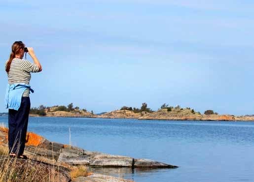 Genuina skärgårdsmiljöer, orörd natur och ett levande kulturlandskap kännetecknar Östgötaskärgården Arkösund, S:t Anna och Gryt.