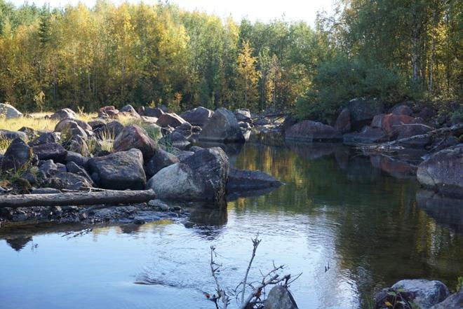 Kan vi i framtiden maximera inflödet av vatten från selet uppströms, och leda in Trollkäringbäckens vattenflöde in i fåran har vi i de närmaste ett året runt strömhabitat.