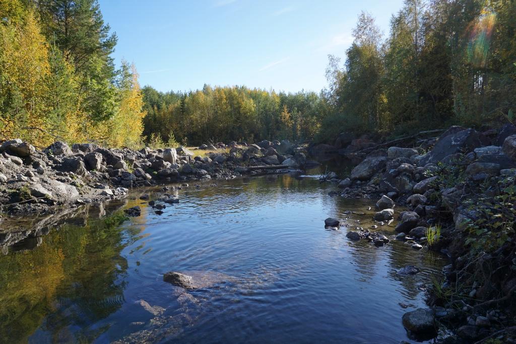 Att öppna upp en sådan här torrfåra mitt i vintern och över 20 grader kallt är inte optimalt då tjälen gått ner i backen.