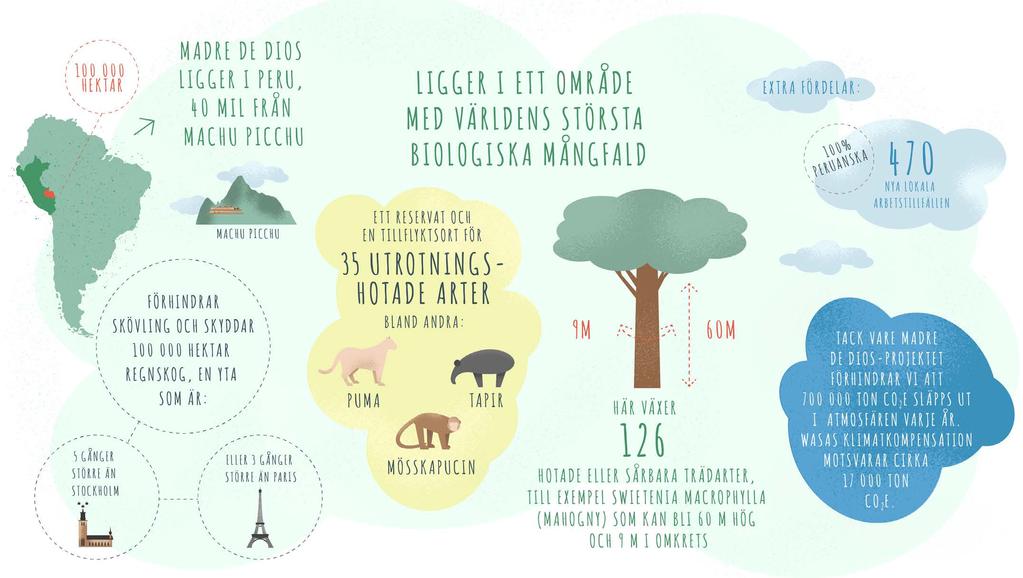 Vi är ett svenskt varumärke och allas rätt till skog och vacker natur ligger oss varmt om hjärtat. Därför känns det naturligt för oss att delta i Madre de Dios-projektet i Perus regnskogar 6.