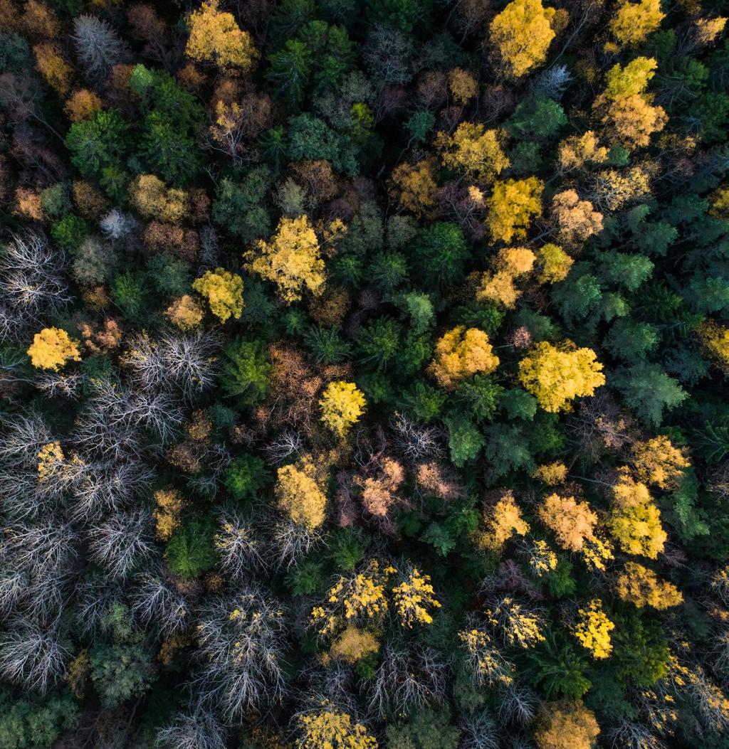 VANLIGA FRÅGOR 1. VAD ORSAKAR KLIMATFÖRÄNDRINGARNA? Växthuseffekten är en process som innebär att jordens yta värms upp så mycket att klimatets naturliga jämvikt rubbas.