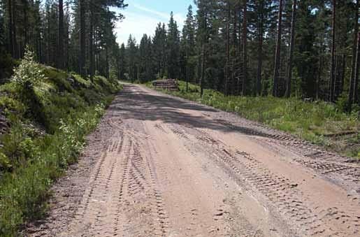 Alltså de vägar som byggs för att minska skotningsbehov vid avverkning och underlätta vid olika skogsvårdsåtgärder. De är också viktiga för jakt och rekreation.