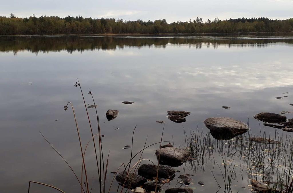 SLUTKOMMENTAR Skirsjön norr om Växjö karakteriseras som en näringsfattig sjö med låga fosforhalter, låga klorofyllhalter och liten biomassa av växtplankton.