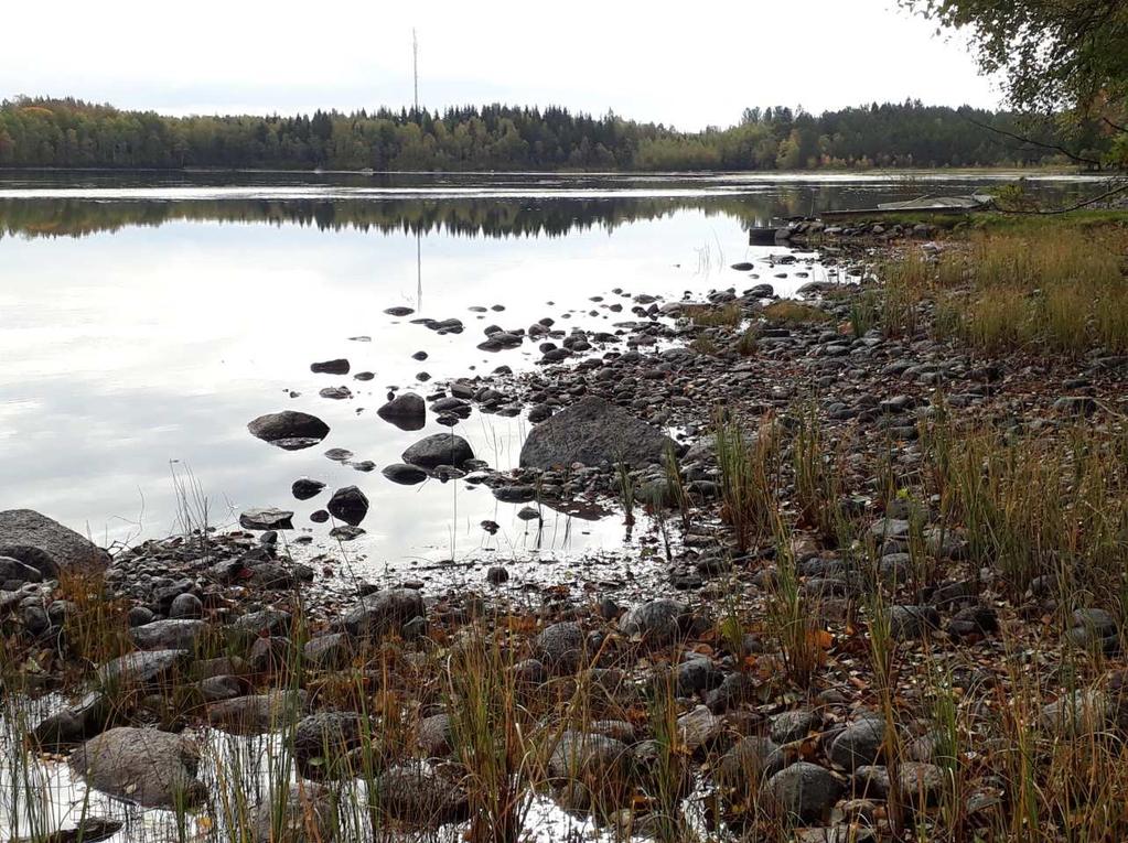 INLEDNING Bakgrund Skirsjön norr om Växjö (SjöID 631308-144190) är en liten (ca 0,35 km 2 ), grund (maxdjup ca 4,1-4,4 meter och medeldjup uppskattat till ca 2 meter), stadsnära sjö med mycket lång