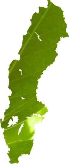 i-tree SVERIGE 2017-2020 Arbor konsult, Stockholm Borlänge Energi, Borlänge kommun Borås kommun Bostads AB Poseidon, Göteborg Eskilstuna kommun Familjebostäder, Göteborg FSK, Fören.