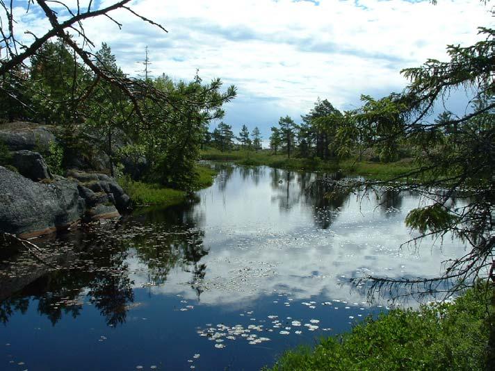 1. Inledning Härnösands kommun har hittills saknat ett underlag för naturvårdsarbete. Kommunen har erhållit statsbidrag för att starta arbetet med upprättande av ett naturvårdsprogram.