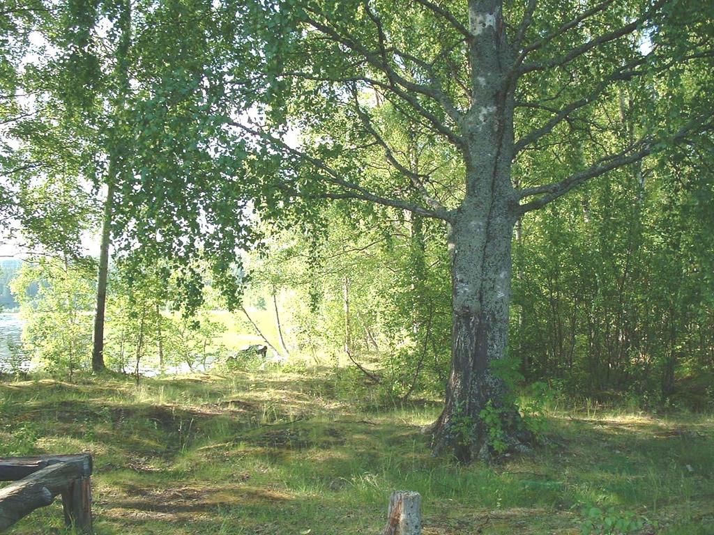 2. Syfte Underlag för fysisk planering på kommunal nivå Klarlägga kommunens ansvar i naturvårdsarbetet, främst genom miljöbalken och plan- och bygglagen.