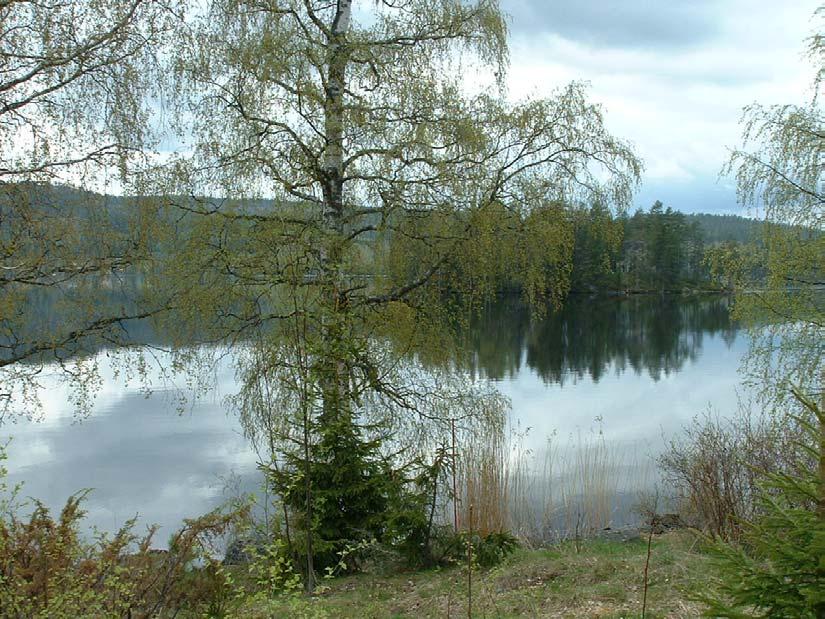 Grönplan Några frågor som rör tillgången och utbredningen av parker, gräsmarker, skogar, träd och gröna element, samt kulturmiljöer i staden, hanteras i Grönplan för Härnösand, som kommunfullmäktige