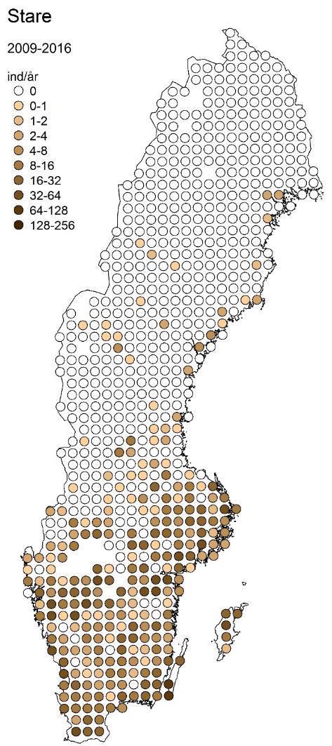 för fåglarna i