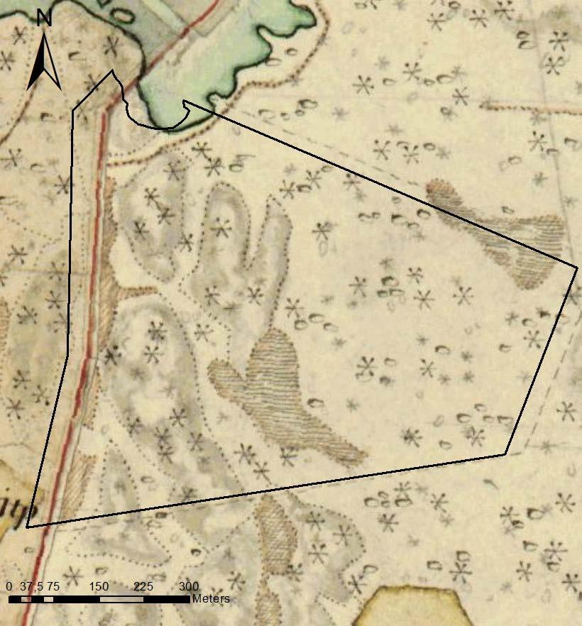 Historisk och nuvarande markanvändning På Häradskartan från 1860-talet framgår att de höglänta bergiga delarna av området var bevuxna med barrskog.