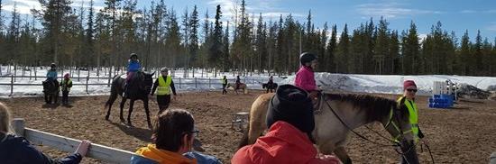 Vi har en ponnyridskola för barn från 4 år på ponnyer anpassade till åldersgruppen. Vi anordnar regelbundet träningar, klubbtävlingar och andra event.