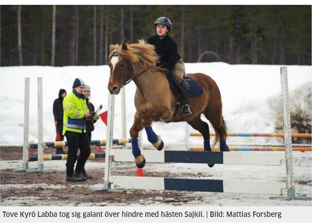 Ponny nyheter Under våren 2016 har vi skiljt våra två fölston från fölen som är födda 2015. Stona går sedan dess i verksamheten fullt ut. De yngre utav stona, Alizza, är en riktig guldponny.