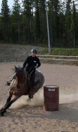 Genomförda aktiviteter 2016 6 feb Ranch Trail-tävling (Iskalla cupen) 17 feb Årsmöte 5 mar Ryttargala på Artic Eden 20 mar Föräldradag med ridning 3 apr Hopptävling (Iskalla cupen) 10