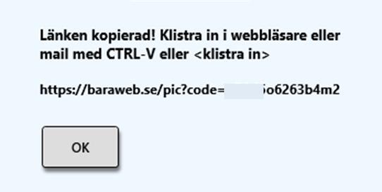 BaraTrav systemöversikt kan laddas upp till BaraTrav server för att kunna kmmas åt via internet Med snabbkmmandt CTRL+O kan du ladda upp översikten till internet.